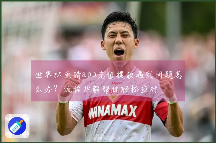 世界杯竞猜app充值提款遇到问题怎么办？流程拆解帮你轻松应对