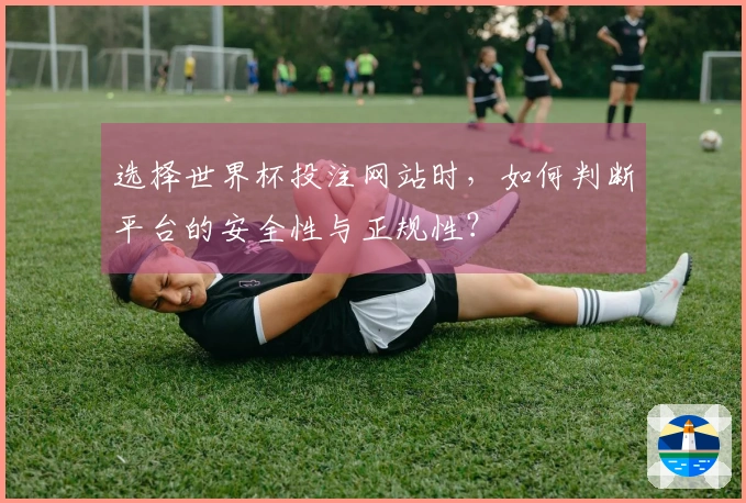 选择世界杯投注网站时，如何判断平台的安全性与正规性？