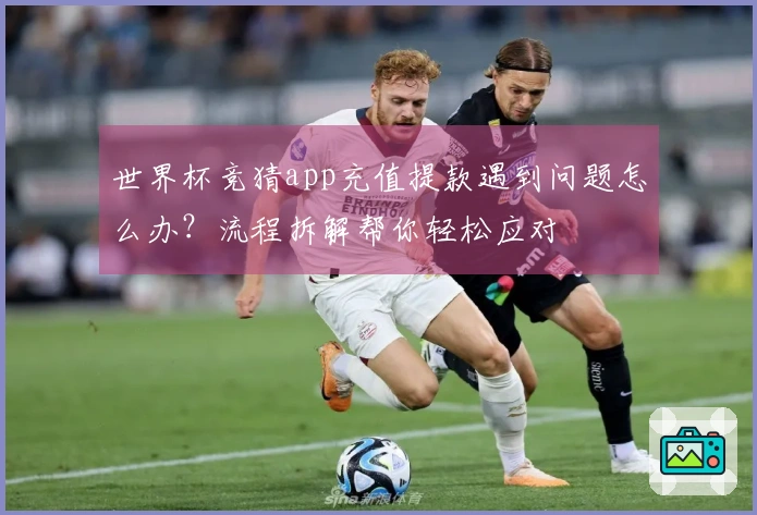 世界杯竞猜app充值提款遇到问题怎么办？流程拆解帮你轻松应对