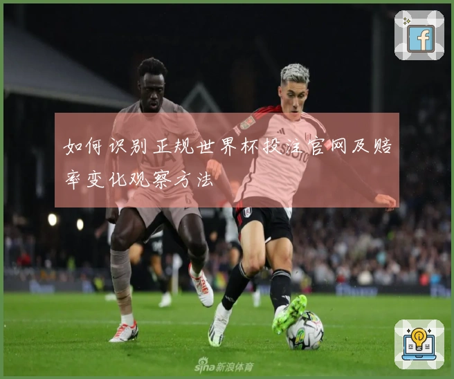 如何识别正规世界杯投注官网及赔率变化观察方法