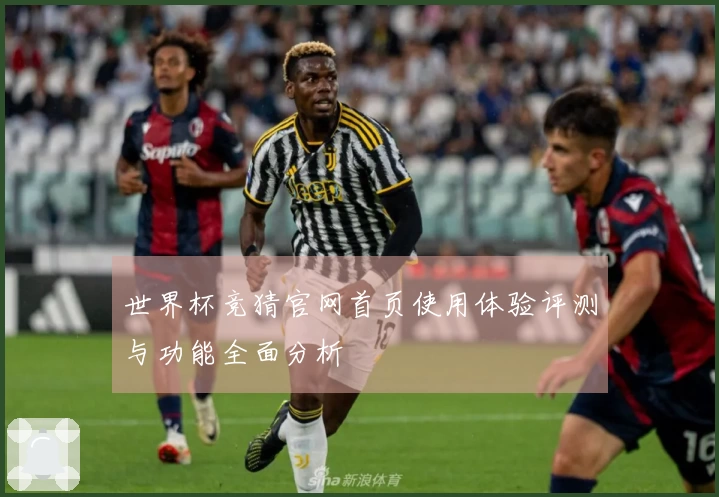世界杯竞猜官网首页使用体验评测与功能全面分析