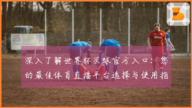 深入了解世界杯买球官方入口：您的最佳体育直播平台选择与使用指南