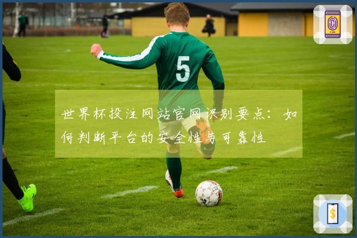 世界杯投注网站官网识别要点：如何判断平台的安全性与可靠性