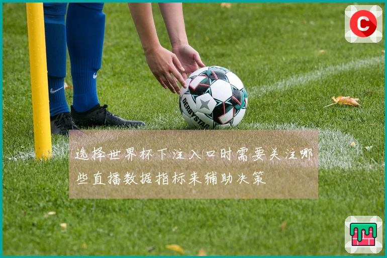 选择世界杯下注入口时需要关注哪些直播数据指标来辅助决策