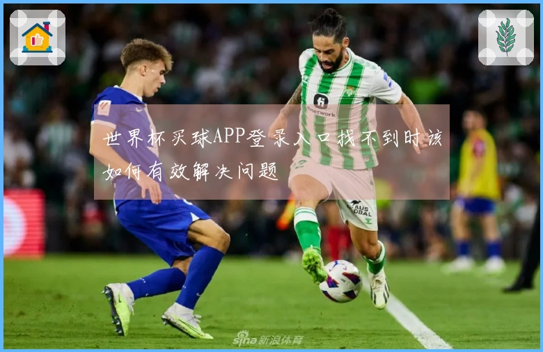 世界杯买球APP登录入口找不到时该如何有效解决问题