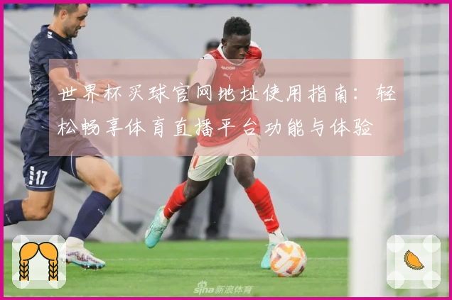 世界杯买球官网地址使用指南：轻松畅享体育直播平台功能与体验