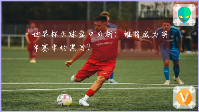 世界杯买球盘口分析:谁将成为明年赛季的黑马?