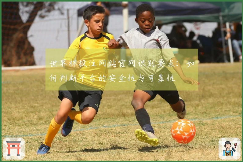 世界杯投注网站官网识别要点：如何判断平台的安全性与可靠性