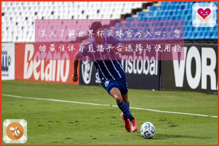 深入了解世界杯买球官方入口:您的最佳体育直播平台选择与使用指南