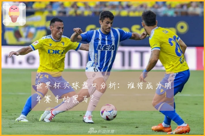 世界杯买球盘口分析：谁将成为明年赛季的黑马？
